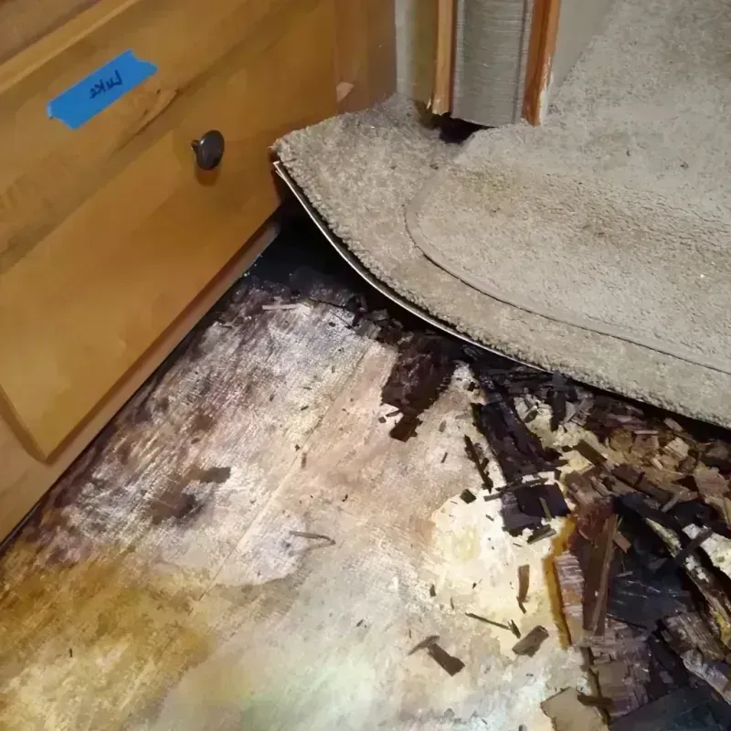 Wood Floor Water Damage in West Ridge, IL